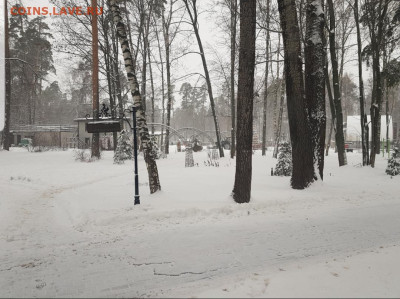 Угадай результат на "5 вёрст" в Ногинске (17.12.2022) - Screenshot_20221217-104304_Gallery