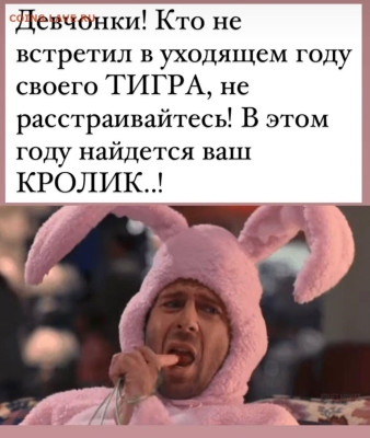 юмор - IMG-20221217-WA0006
