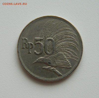 Индонезия 50 рупий 1971 г. (Фауна) до 22.12.22 - DSCN4452.JPG