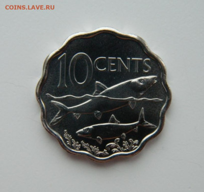 Багамские острова 10 центов 2010 г. (Фауна) до 22.12.22 - DSCN5318.JPG