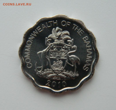 Багамские острова 10 центов 2010 г. (Фауна) до 22.12.22 - DSCN5319.JPG