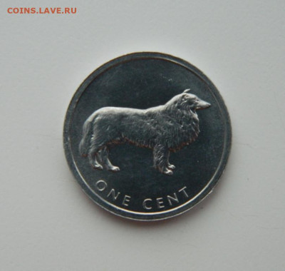 Острова Кука 1 цент 2003 г. (Собака Колли) до 22.12.22 - DSCN5416.JPG