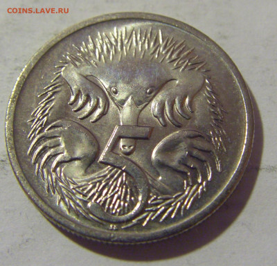 5 центов 2000 Австралия №1 24.12.22 22:00 М - CIMG5369.JPG