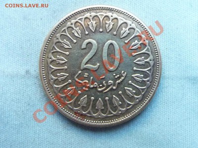 ТУНИС 20 MILLIM 2007г. до 12.12.11 в 22-00 - MEMO0001.JPG