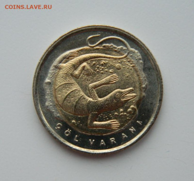 Турция 1 лира 2015 г.(Юбилейная) Варан до 22.12.22 - DSCN5396.JPG