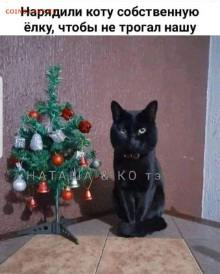 юмор - Screenshot_20221218-220351_Instagram