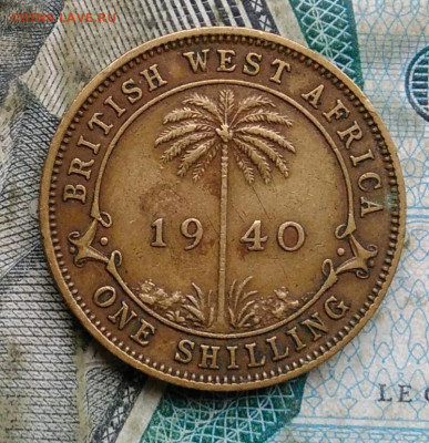Британская Западная Африка 1 шиллинг 1940  до 22.12.2022 - IMG_20221217_233921