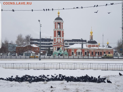 ФОТО - просто фото. Те что получились удачными. - Screenshot_20221219-075330_Gallery