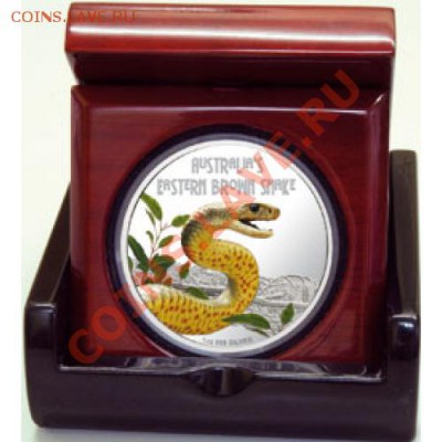 ЧТО, ГДЕ, КОГДА (2) - snake-500x500