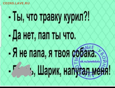 юмор - Screenshot_20221223-065633_WhatsApp