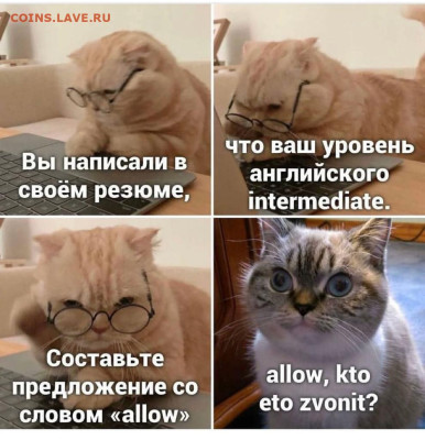 юмор - IMG-20221223-WA0001