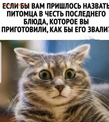 юмор - Screenshot_20221220-225936_Instagram