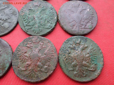 Денга 1731-1750 г. 9 шт. до 25.12.2022 г. в 22.00 - SAM_6853.JPG