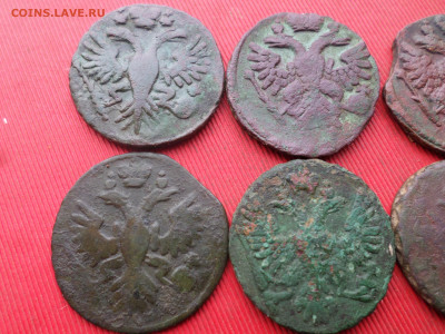Денга 1731-1750 г. 9 шт. до 25.12.2022 г. в 22.00 - SAM_6850.JPG