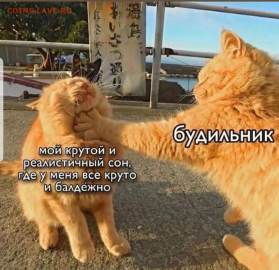 юмор - Screenshot_20221220-201540_Instagram