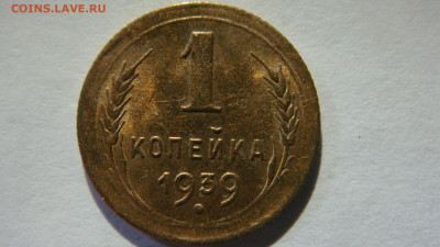 Вопросы по разновидностям от Сахарка. - DSC03273.JPG
