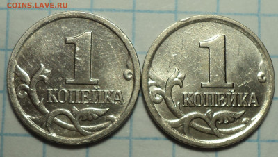 РАЗНОВИДНОСТИ  от  СЛФ - DSC04863.JPG
