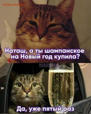 юмор - IMG-20221225-WA0001