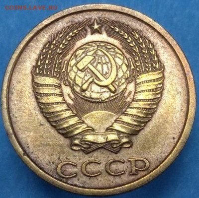 Шт.3-1 по ЯВА (шт.2.11 по Широкову) - 31