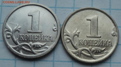 РАЗНОВИДНОСТИ  от  СЛФ - DSC04952.JPG