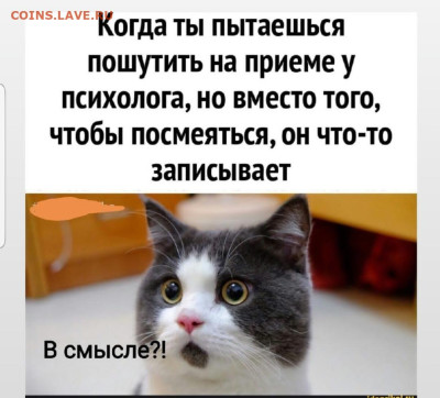 юмор - Screenshot_20221226-171037_Instagram