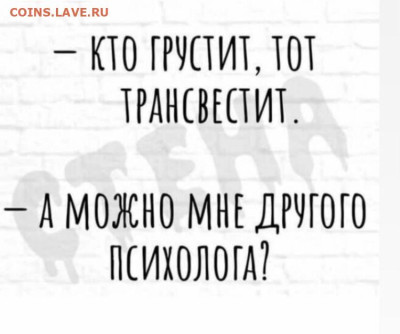 юмор - IMG-20221225-WA0006