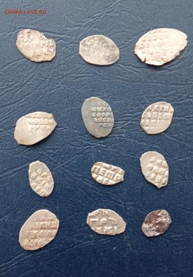 лот разной чешуи 12 шт до 29.12.2022 22:00 Мск - IMG_20221227_140654