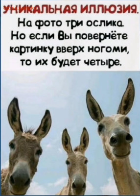 юмор - Screenshot_20221227-170959_Instagram