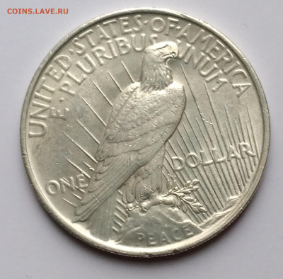 1Доллар США 1923г.Мирный серебро с 200р. до 3.01.23г. 22:00 - 20221228_101501