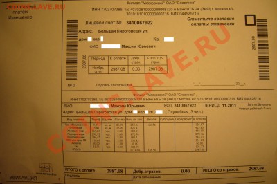 Кто же голосовал за ЕДРО? - P1090856.JPG