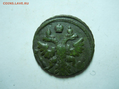 полушка 1741.1737 до 30.12.2022 в 22-00 по мск. - DSCN6688.JPG