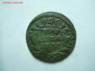 полушка 1741.1737 до 30.12.2022 в 22-00 по мск. - DSCN6686.JPG