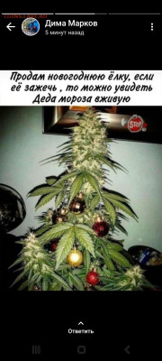 юмор - IMG-20221230-WA0012