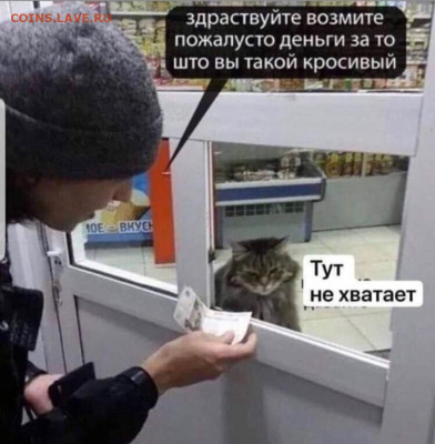 юмор - Screenshot_20221231-071533_Instagram