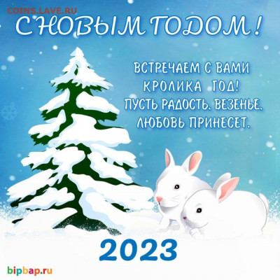 С Наступающим Новым Годом !!! - 16724889599933326169349701862234