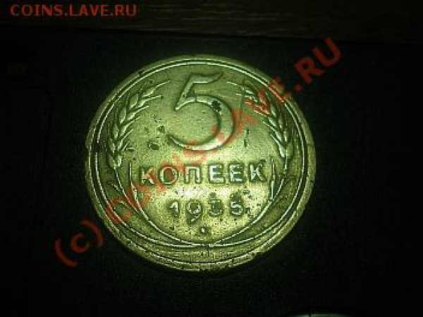 Вот такие. Лучше, что-то не получается. - P6190001