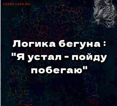 Кто-нибудь бегает? - IMG-20230102-WA0002