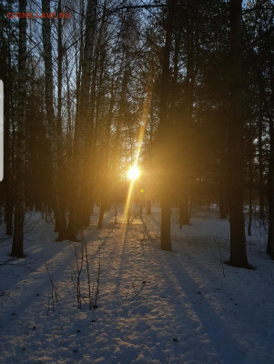 ФОТО - просто фото. Те что получились удачными. - Screenshot_20230102-182401_Gallery