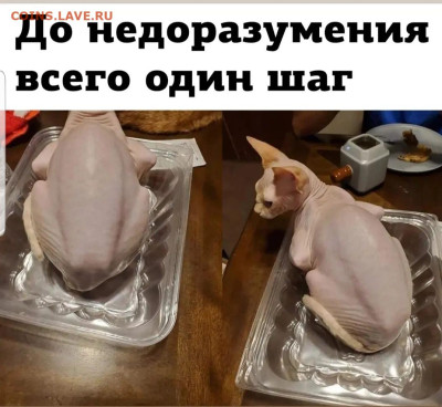 юмор - Screenshot_20230102-184734_Instagram