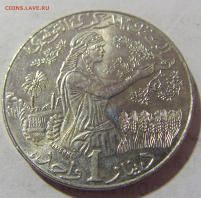 1 динар 1997 Тунис №1 08.01.2023 22:00 МСК - CIMG6183.JPG