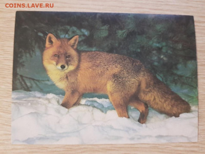  до ухода в архив - 20221219_190925