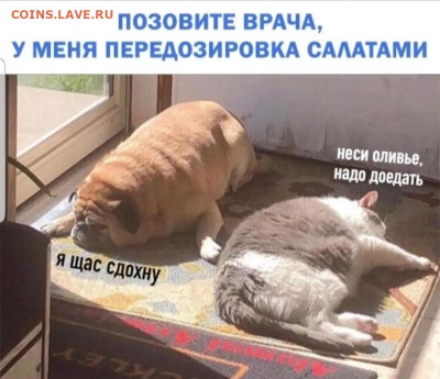 юмор - Screenshot_20230103-210418_Instagram