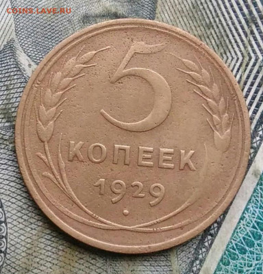 5 копеек 1929 года до 06.01.2023 - IMG_20230103_175609