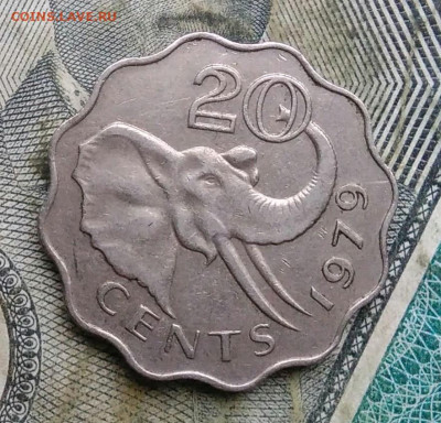 Свазиленд 20 центов 1979 года до 06.01.2023 - IMG_20230103_161745