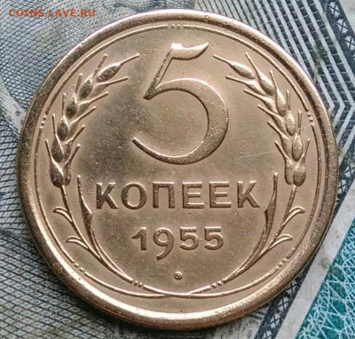 5 копеек 1955 года до 06.01.2023 - IMG_20230103_170115