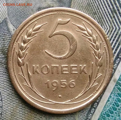 5 копеек 1956 года до 06.01.2023 - IMG_20230103_175533