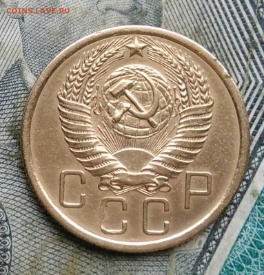 5 копеек 1956 года до 06.01.2023 - IMG_20230103_175550