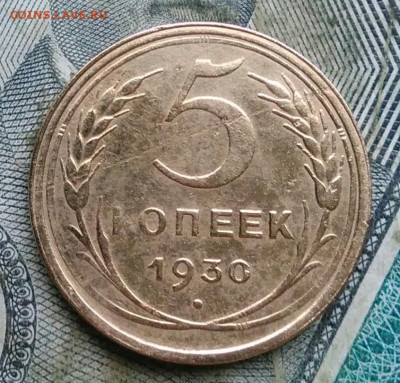 5 копеек 1930 года до 06.01.2023 - IMG_20230103_172623