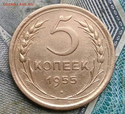 5 копеек 1955 года до 06.01.2023 - IMG_20230103_175642