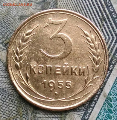 3 копейки 1955 года до 06.01.2023 - IMG_20230103_162107